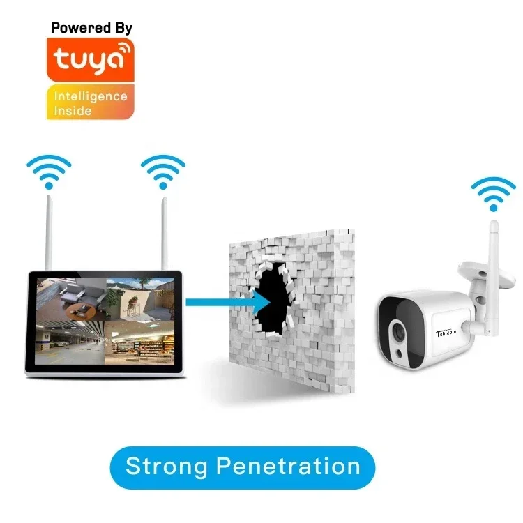 TUYA Smart Wi-Fi 4CH NVR Kit 1 - Home Security And Camera Systems 评论和价格