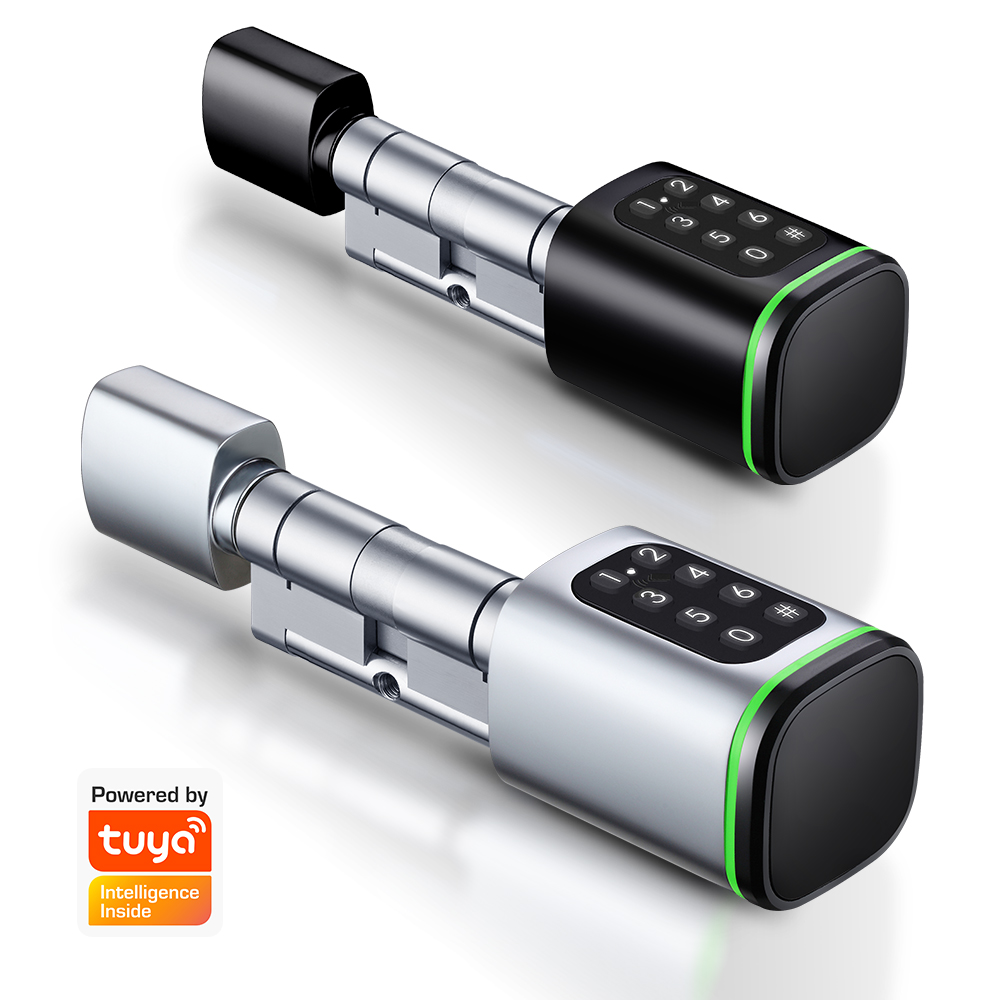 Smart Cylinder Lock Tuya 60-90 - Home Security Essential 评论和价格
