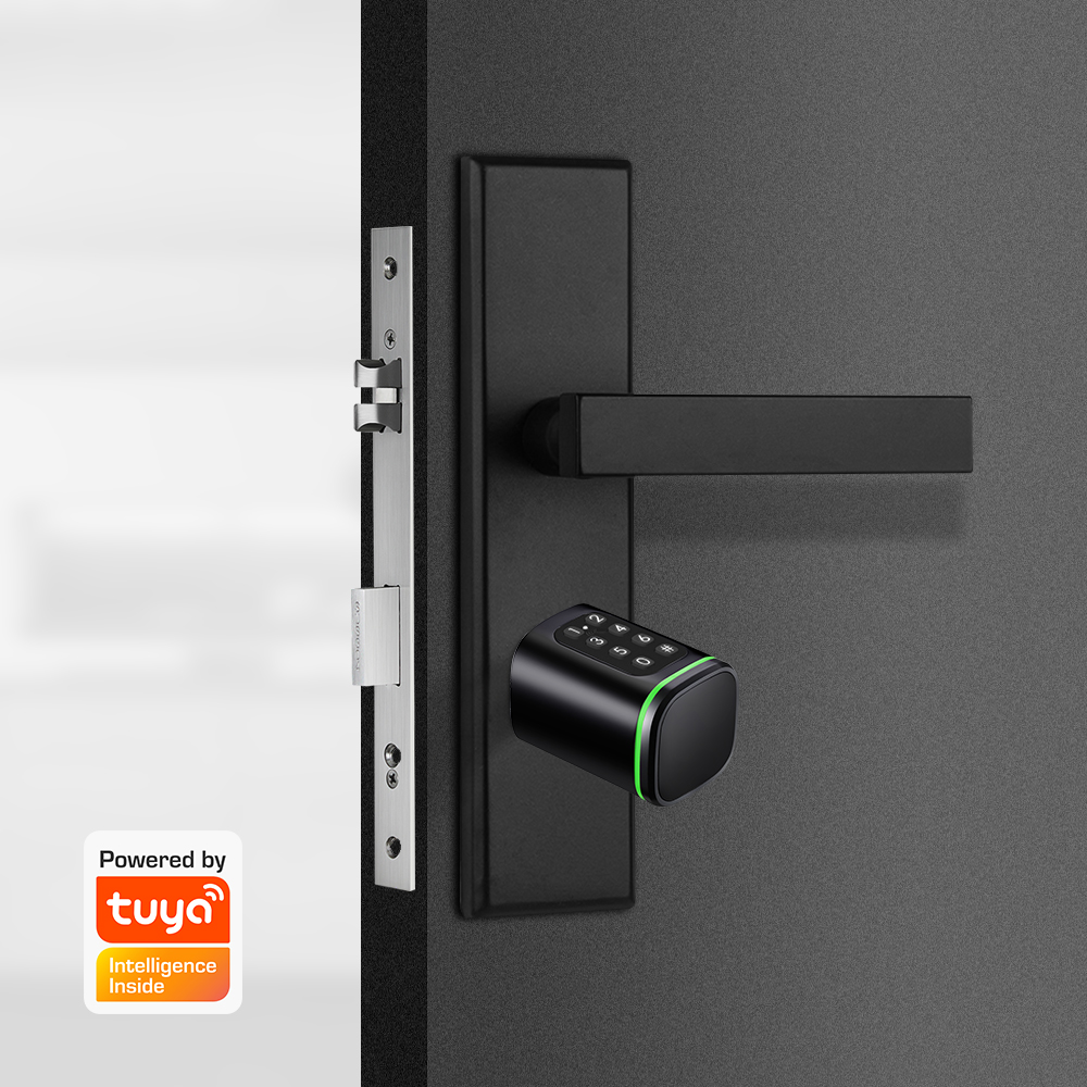 Smart Cylinder Lock Tuya 60-90 - Home Security Essential 评论和价格
